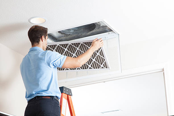 Best Air Filters and Purifiers in Grand Ronde, OR